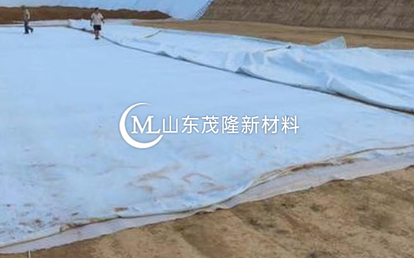 《现西咸新区高尔夫》土工布、复合土工布施工