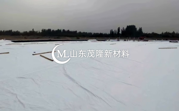 《中国石化库车商储库工程》土工膜、土工布施工  第5张