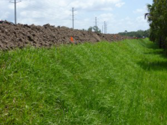 四川巴中多雨潮湿，土工格栅为道路扩建出力  第2张