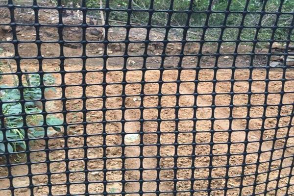 土工格栅在养殖中的应用 第1张